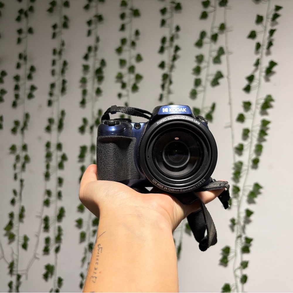 Kodak Dual-Tone Digital Camera